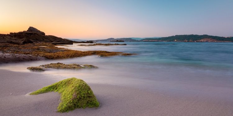 The Power of Daily Mindfulness: Cultivating Inner Peace and Presence