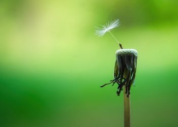 Unlocking Inner Calm: Effective Strategies for Managing Stress