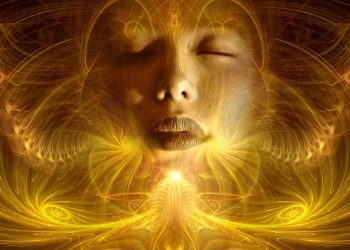 Nourishing the Mind: Essential Practices for Mental Wellness