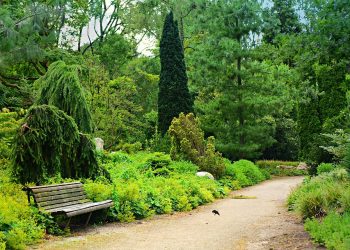 Breaking the Stigma: Accessing Vital Mental Health Resources for a Healthy Mind